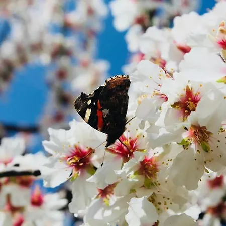 - 公寓 Guntersblum