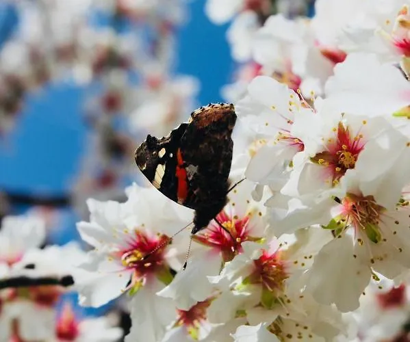 - Apartamento Guntersblum